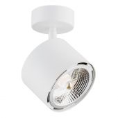 Argon Clevland 4702BZ lampa podsufitowa 1x12 W biała