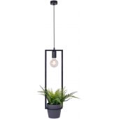 Kaja Estera K4038 lampa wisząca 1x60 W czarny