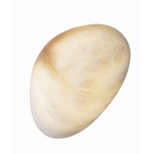 MaxLight Nuvia W0397 kinkiet 1x5 W złoty