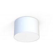 Nowodvorski Lighting Cameron 9684 lampa podsufitowa 3x15 W biała