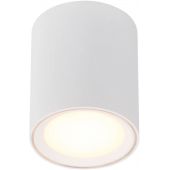 Nordlux Fallon 47550101 lampa podsufitowa 1x5.5 W biały