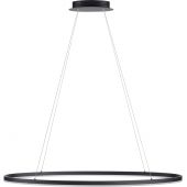 Paul Neuhaus Titus 239313 lampa wisząca 1x57.5 W antracyt