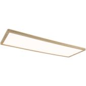 Paulmann Atria 71031 plafon 1x22 W biały