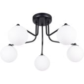 Sollux Lighting Astral SL1663 lampa podsufitowa 5x8 W biała-czarna