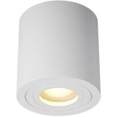 Zuma Line Rondip ACGU10158N lampa podsufitowa 1x50 W biały