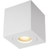 Zuma Line Quardip ACGU10160N lampa podsufitowa 1x50 W biały