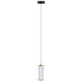 Zuma Line Cally MD31471A3GT lampa wisząca 1x8 W przezroczysta-złota