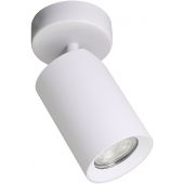 Zuma Line Tore TLS006WH lampa podsufitowa 1x50 W biała