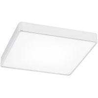 Argon Ontario 3572 plafon 1x18.5 W biały