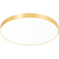 Zuma Line Sierra CL12100009GD plafon 1x60 W złoty