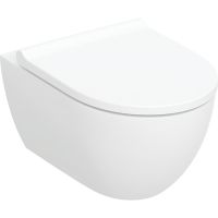 Geberit Acanto 502774001 miska wc z deską wolnoopadającą wisząca bez kołnierza spłukiwanie wirowe biały