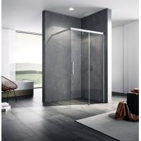 Kermi Nica NI J2 NIJ2R11020VPK ścianka prysznicowa walk-in 110 cm