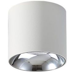 Abigali Vaiolett DL10WWW lampa podsufitowa 1x10 W biały