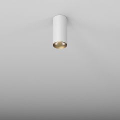 Aqform Pet 46962M940WG0013 lampa podsufitowa 1x8.5 W biała-złota