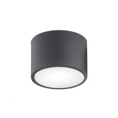 Argon Vichy 3886 lampa podsufitowa 1x9 W czarna