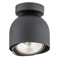 Argon Garland 4711BZ lampa podsufitowa 1x12 W czarna