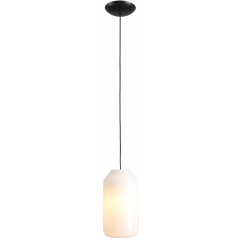 Aldex Flask M 8500G1M lampa wisząca 1x15 W czarna