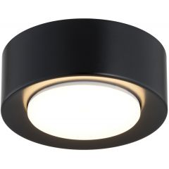 Argon Elora 8905 plafon 1x12 W czarny