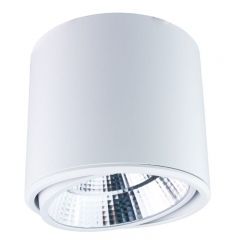 DPM X-Line STLDL20WW lampa podsufitowa 1x20 W biała