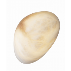 MaxLight Nuvia W0397 kinkiet 1x5 W złoty