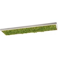 Leuchten Direkt Green Knut 1562366 plafon 1x25 W zielony