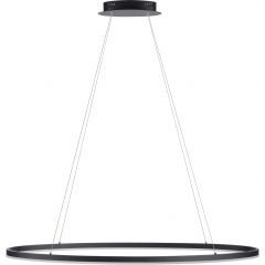 Paul Neuhaus Titus 239313 lampa wisząca 1x57.5 W antracyt