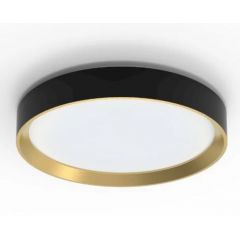 Philips Hanno 929004115801 plafon 1x24 W czarny-złoty