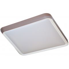 Rabalux Druzor 71166 plafon 1x40 W biały-brązowy