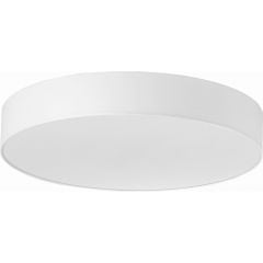 TK Lighting Rondo 2443 plafon 6x15 W biały