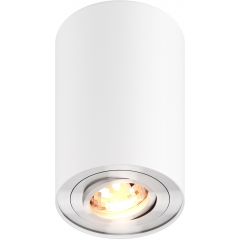 Zuma Line Rondoo 45519N lampa podsufitowa 1x50 W biała
