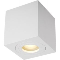 Zuma Line Quardip ACGU10160N lampa podsufitowa 1x50 W biały