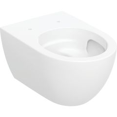 Geberit Acanto 502717008 miska wc wisząca bez kołnierza ze spłukiwaniem wirowym biały połysk