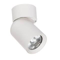 Light Prestige Pointa LP63981WSWH lampa podsufitowa 1x8 W biała