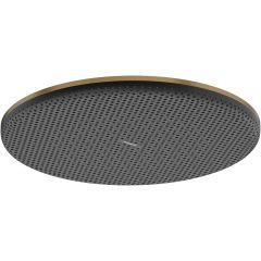 Hansgrohe Raindance Alive S 24521140 deszczownica 30x30 cm okrągła