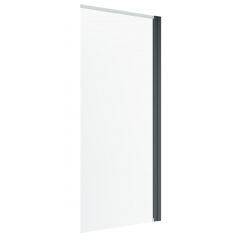 Radaway Nes Brushed GunMetal PNJ I 100110509201R parawan nawannowy 50 cm 1-częściowy szczotkowany/szkło przezroczyste