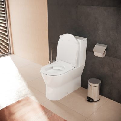 Zestaw Hansgrohe 60148450, 62024450