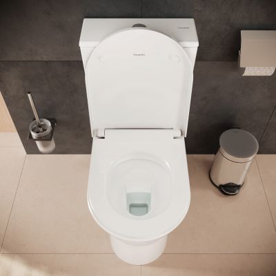 Zestaw Hansgrohe 60148450, 62024450