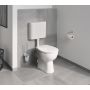 Grohe Cosmopolitan 40463001 szczotka toaletowa zdj.3