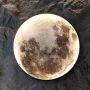 Abigali Moon MOON kinkiet 1x24 W biały zdj.7