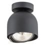 Argon Garland 4711BZ lampa podsufitowa 1x12 W czarna zdj.1