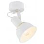 Argon Twist 4899 lampa podsufitowa zdj.1