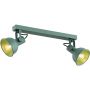 Argon Lenora 7174 lampa podsufitowa 2x7 W zielona zdj.1