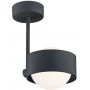 Argon Massimo Plus 8060 lampa podsufitowa 1x6 W czarna zdj.1