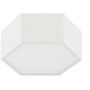 Argon Libero 8781 plafon 1x12 W biały zdj.5