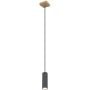 Globo Lighting Robby 57911HG lampa wisząca zdj.1