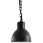 Goldlux Arne 311924 lampa wisząca zewnętrzna 1x10 W czarna zdj.3