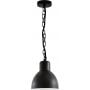 Goldlux Arne 311924 lampa wisząca zewnętrzna 1x10 W czarna zdj.1