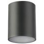 GTV Lento OSLEN100OKG30 lampa podsufitowa 1x35 W grafitowa zdj.1