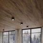 Light Prestige Lyon LP58811SMBK lampa podsufitowa zdj.4