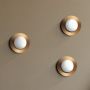 Light Prestige Roma LP13451WGD kinkiet 1x5 W biały-złoty zdj.4